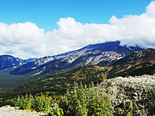 Лучшие экологические проекты выбрали на всероссийском форуме на Камчатке