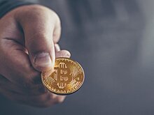 Бывший главный экономист МВФ прогнозирует обвал биткоина до $100