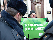 Митрохина оштрафовали на 10 тысяч рублей из-за пикета за отставку Кадырова