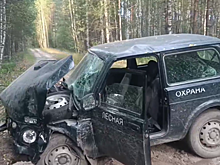 Автомобиль «Лесохраны» попал в ДТП в Нижегородской области