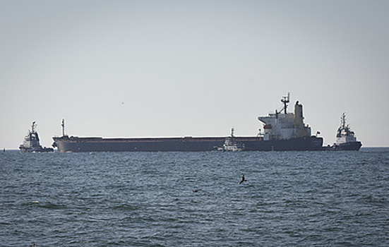 Минобороны РФ: два иностранных судна покинули порты Украины во вторник