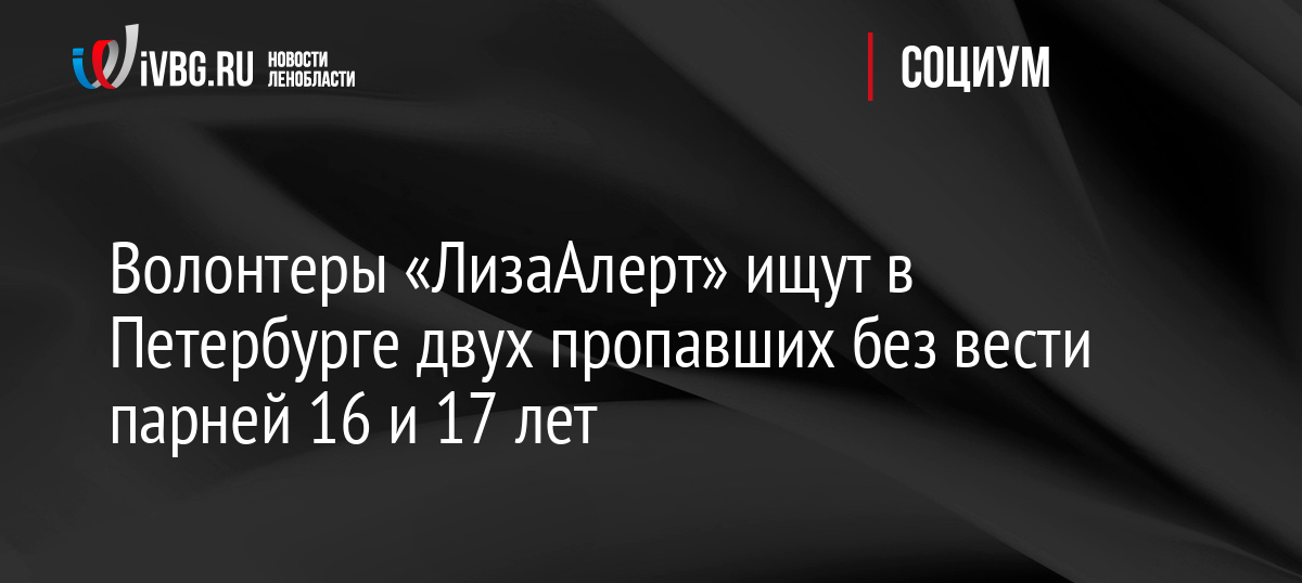 Волонтеры «ЛизаАлерт» ищут в Петербурге двух пропавших без вести парней 16 и 17 лет