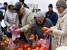 Ульяновцам назвали точки реализации продукции местных сельхозпроизводителей