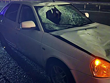 На трассе в Ростовской области насмерть сбили пешехода