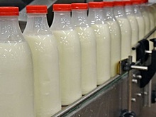 В Свердловской области выявили две тонны поддельной молочной продукции