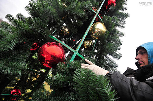 Демонтаж столичных новогодних елок начнется с 15 января