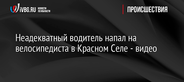 Неадекватный водитель напал на велосипедиста в Красном Селе - видео