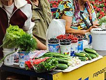 В Челябинске определили места, где садоводы смогут продать свою продукцию