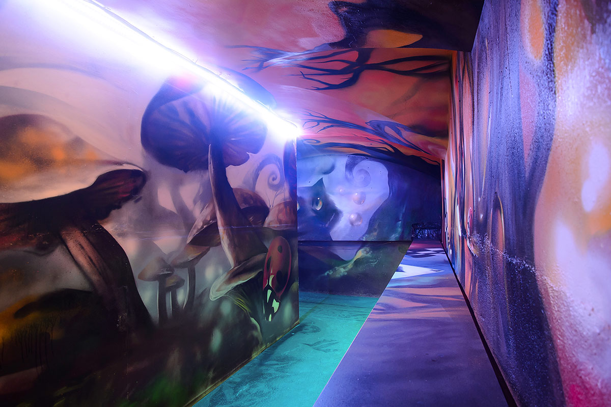 Страна Лабиринтия, Санкт-Петербург, Россия, Европа