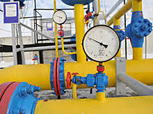 Украина подсчитала доход от транзита газа из России