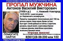 68-летнего Василия Антонова разыскивают в Нижнем Новгороде