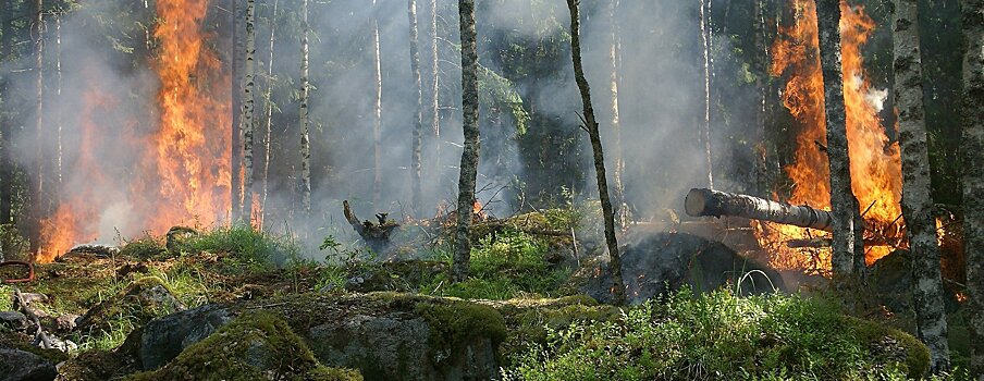 Российские самолеты помогут Турции тушить лесные пожары