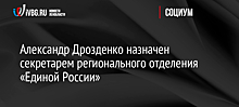 Александр Дрозденко стал секретарем регионального отделения "Единой России" в Ленобласти