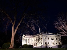 Politico рассказала о «сером кардинале» Белого дома