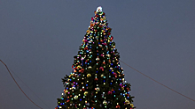 Традиция наряжать елки на Новый год пришла в Россию из Германии