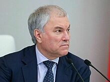 Володин прибыл в Нью-Дели