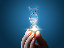 Феноменальное открытие ученых о клонировании