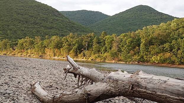 Выставка о Дальнем Востоке открылась в галерее «Метро»