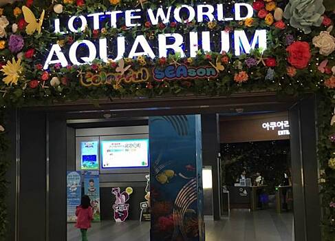Приморский океанариум будет сотрудничать с корейским океанариумом Lotte World