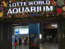 Приморский океанариум будет сотрудничать с корейским океанариумом Lotte World