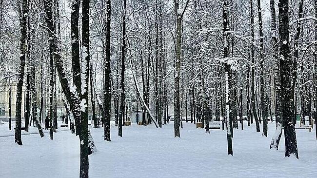 Синоптики сообщили об аномальной погоде в Чите в 2025 году