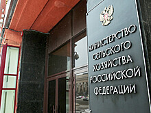 Вместо субсидий – льготый кредит: Минсельхоз изменит стратегию господдержки АПК