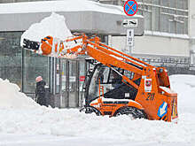 Синоптик Варакин: снегопады в Москве закончатся 15 января