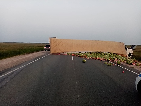 В Новосибирской области 42-летний водитель Lifan погиб в ДТП с гружёной арбузами фурой