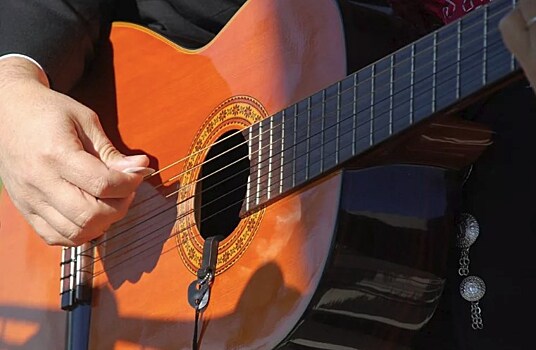 Бутовчан приглашают на сольный концерт Александра Жаркова