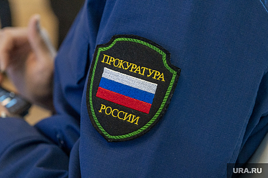 Прокуратура попросила изъять землю, где стоит дом Невзорова*