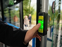 Волгоградцев на День поля доставят шаттлы и межмуниципальный транспорт