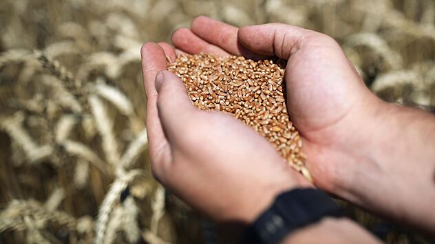 Grain deal: What do Russia and Turkey decide?