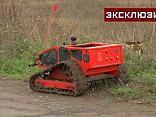 Скосить, найти, подорвать: как работают саперы в зоне спецоперации