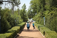 В Волгограде обновлены правила озеленения территорий