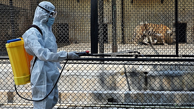Московский зоопарк будет закрыт до лета