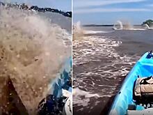Ламантины устроили «горячую» встречу рыбаку в лодке: видео