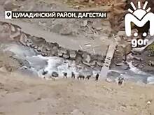 В Дагестане жители 17 сел собрали деньги и построили дорогу к заброшенному источнику