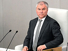 Володин назвал отсутствие геев в Госдуме причиной выхода России из ПАСЕ