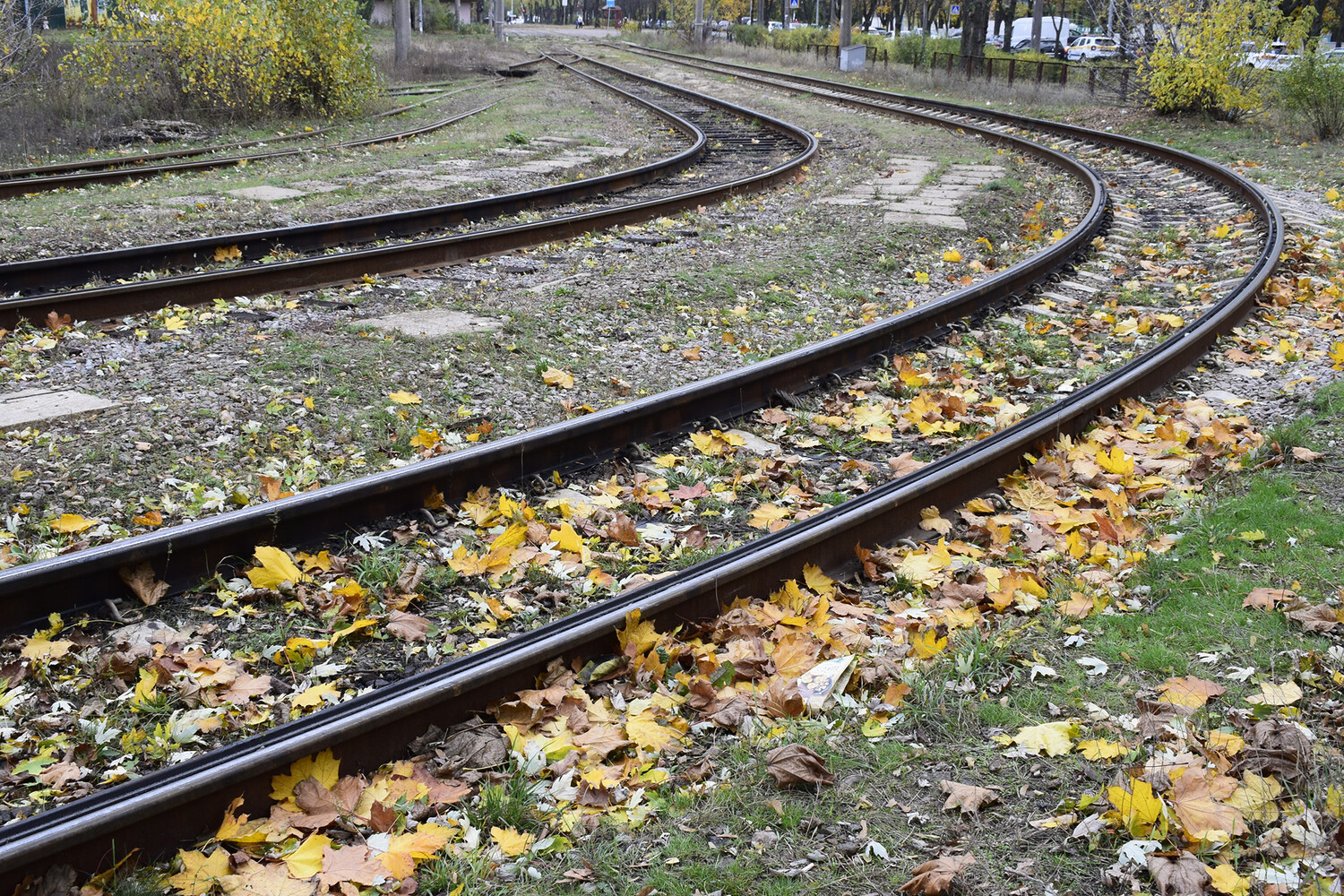 Из-за схода вагонов в Ленобласти задержали пассажирский и 17 грузовых поездов