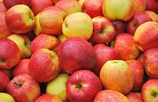 В Курган пытались ввезти яблоки, зараженные опасным насекомым