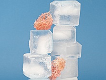 Правда ли, что полезно протирать лицо льдом