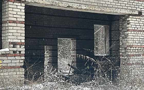 В рязанском лесу сфотографировали заброшки и лестницу в никуда