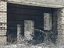 В рязанском лесу сфотографировали заброшки и лестницу в никуда