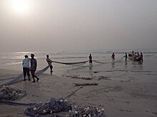 В Гане школьников завалило деревьями, 20 человек погибли