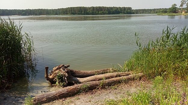 На пляжах предлагают выделить лягушатники для купания детей