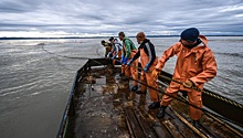 Польские переработчики намерены покупать рыбу у приморских рыбаков