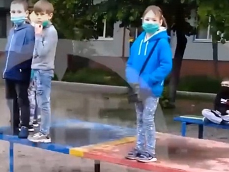 На детской площадке в Брянске собачницы загнали детей на столы: видео