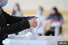 В новых округах Курганской области объявили выборы