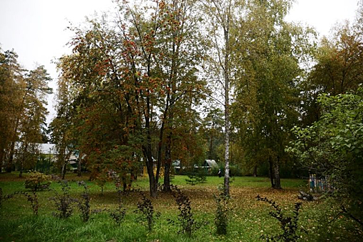 Реабилитацию после ковида в центре «Обские зори» прошли более тысячи новосибирцев