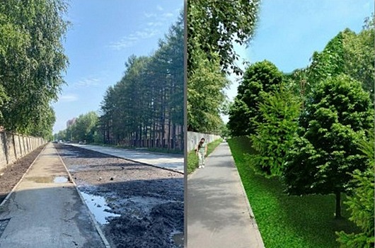 Новые газоны и деревья: в Октябрьском районе Новосибирска благоустроят улицы на 15 млн